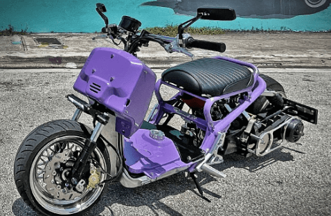 honda ruckus custom