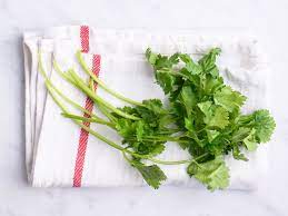 wellhealthorganic.com : coriander-leaves-5-best-health-benefits