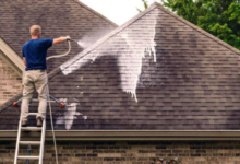 Roof Cleaning Services