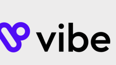 Vibe.Co 22.5m Series 30mboyleadexchanger