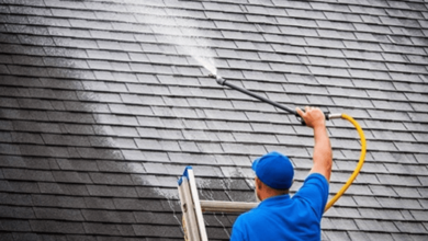 Roof Cleaning by Premier Power Cleaning