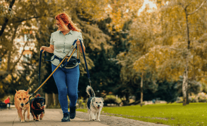 Dog Walking Services