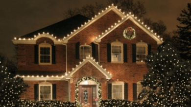 Christmas Light Installation