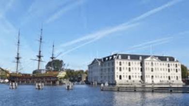 Amsterdambased Monumental Aipowered 25M Hummingbirdemir