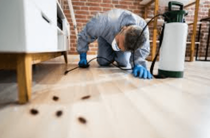 Can You Break a Lease if Your Apartment Has Roaches