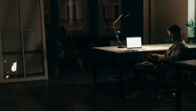 professional digital profile creation