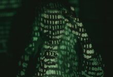 exploring the significance of 3533603520