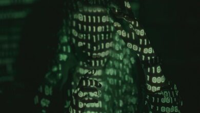 exploring the significance of 3533603520