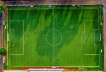 dtcoralbsel overview summary