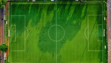 dtcoralbsel overview summary