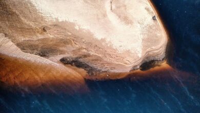 harmonicode website features overview