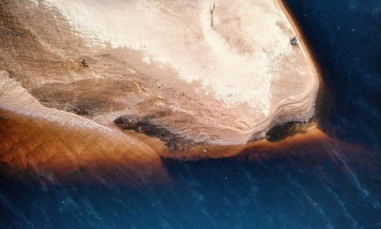 harmonicode website features overview