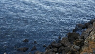 kierzugicoz2005 overview explained