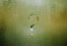 username analysis and insights