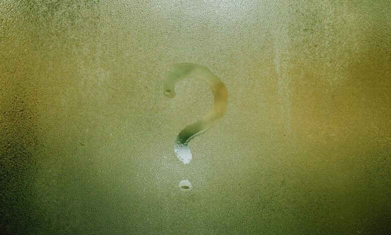 username analysis and insights