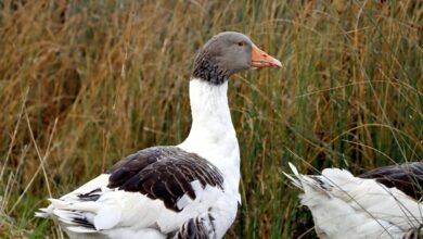 vittenthill49 profile updates available