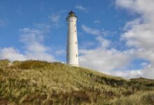 zealpozold usage safety guide