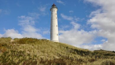 zealpozold usage safety guide