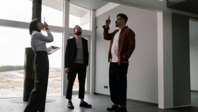 executive insights on data