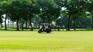 market expansion and competition