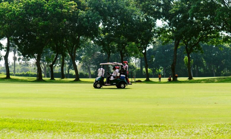 market expansion and competition