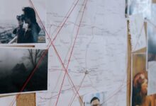 profile and activity summary