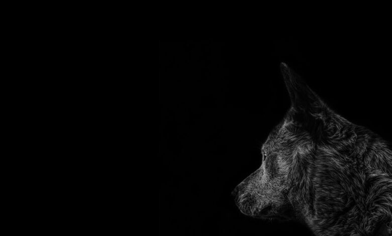 profile check details overview