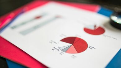 ecmoinstans detailed overview summary