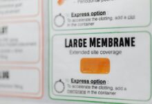 fhogis930 5z details revealed