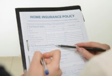 hidghanem palidahattiaz details