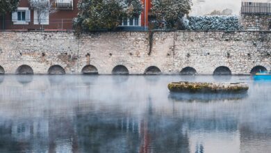 krylovalster s unique characteristics explained