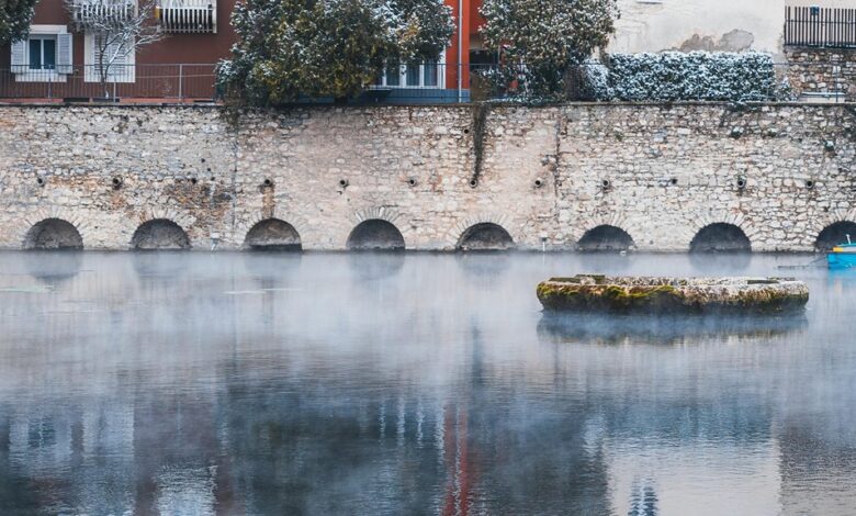 krylovalster s unique characteristics explained