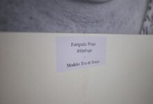 pimslapt2154 specifics unknown