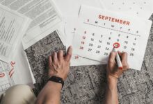 primiotranit review highlights features