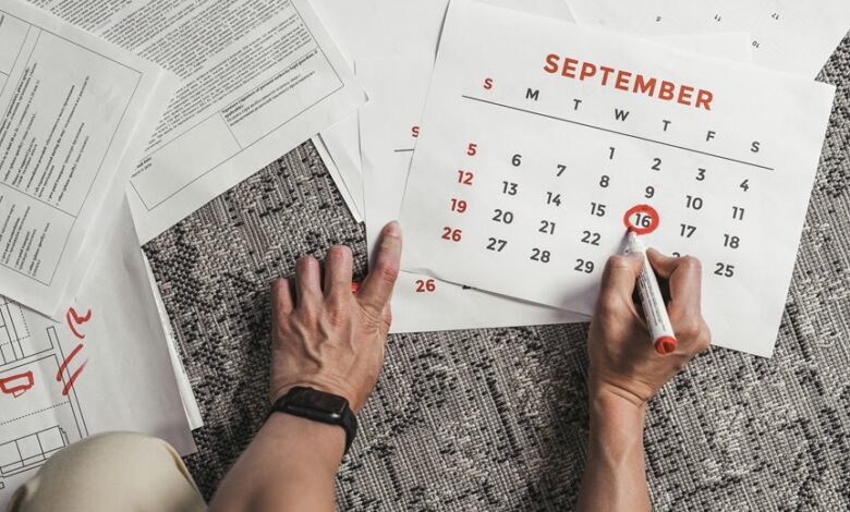 primiotranit review highlights features