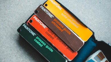 xevotellos model brand guide