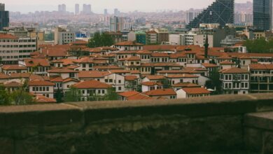 yezickuog5 4 model overview