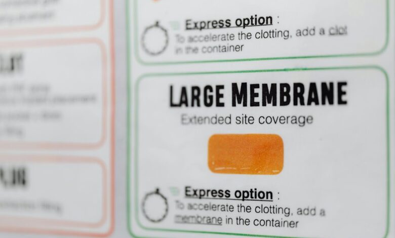 zeppelinargreve full details revealed