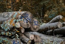 authenticate call logs for accuracy