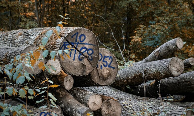 authenticate call logs for accuracy