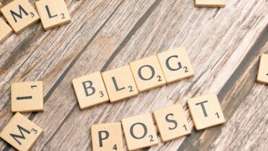 blog captures internet society dynamics