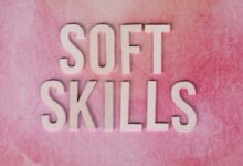 dimrekemesgen skills overview