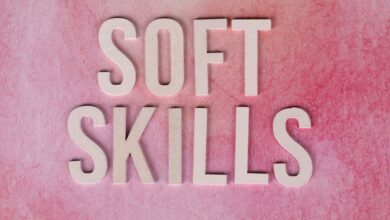 dimrekemesgen skills overview