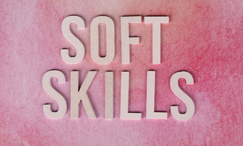 dimrekemesgen skills overview