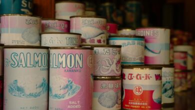 encoded multilingual data review highlights quality