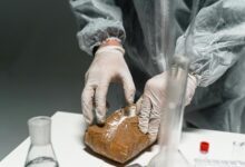 fraudulent chemical product details