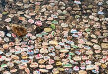 gemrawit yasebhat facts summary