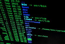 mixed data integrity scan identifiers