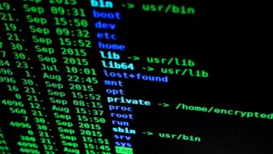 mixed data integrity scan identifiers