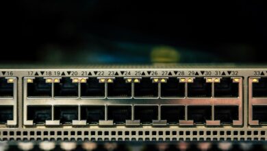 network numeric record audit